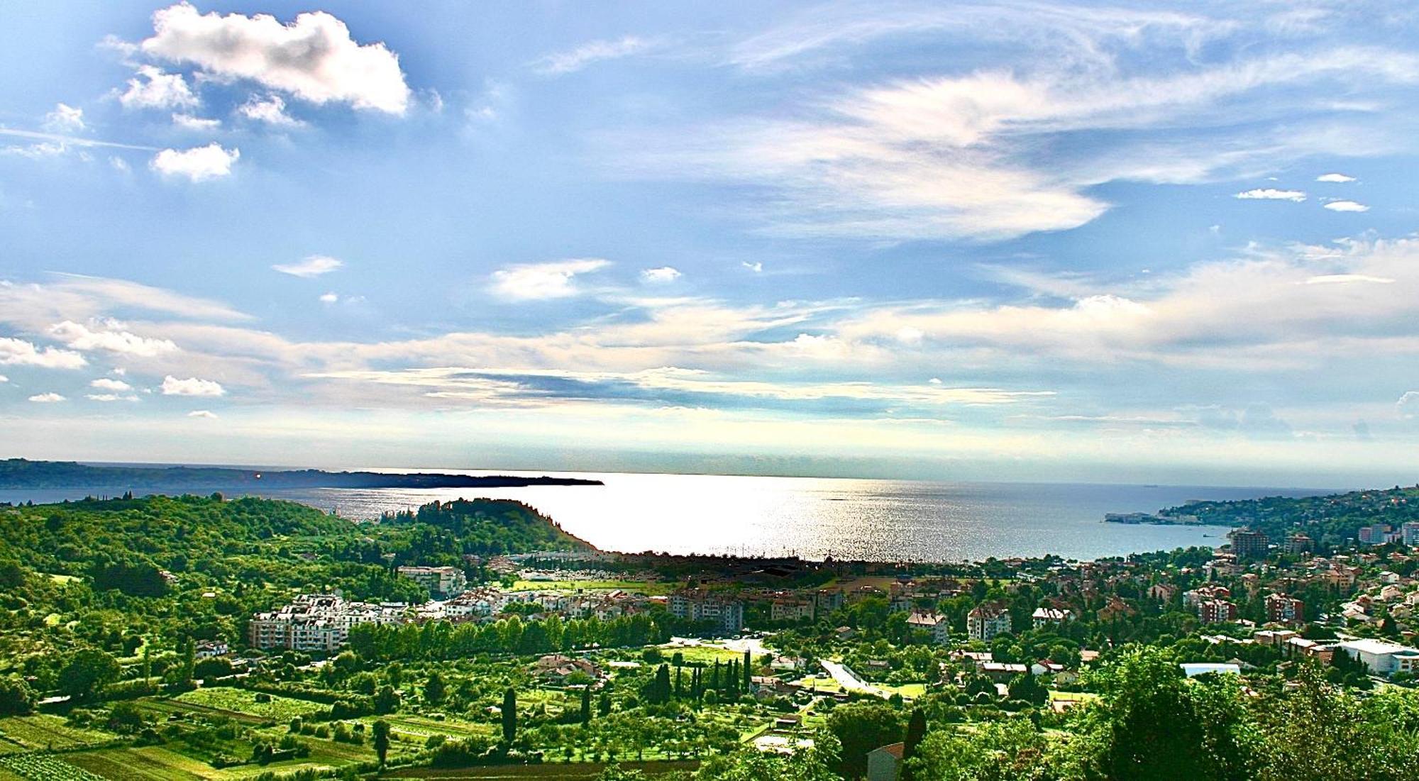 Sea View Olive Retreat Appartement Portorož Buitenkant foto